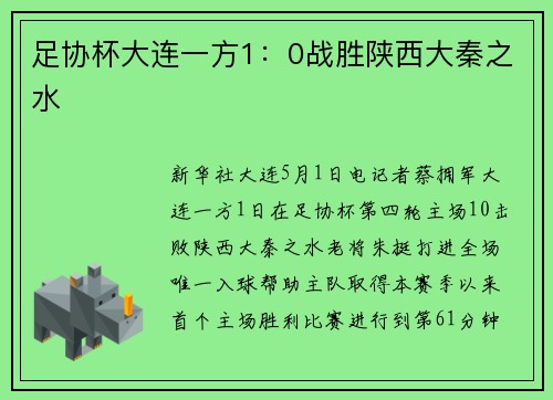 足协杯大连一方1：0战胜陕西大秦之水